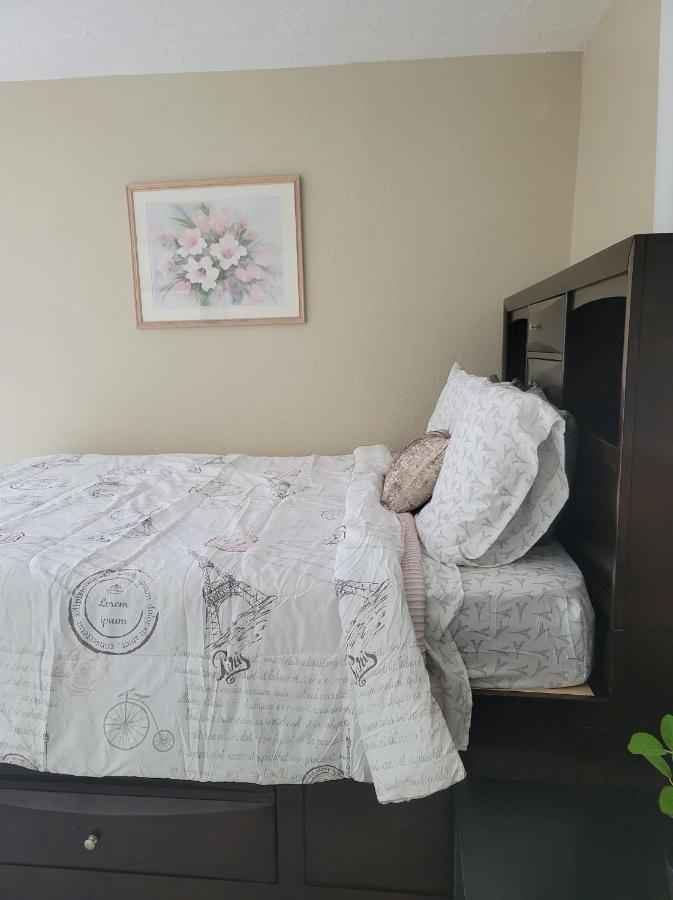 Entire Guesthouse 5 Mins To Siesta Key & Downtown Sarasota Ngoại thất bức ảnh